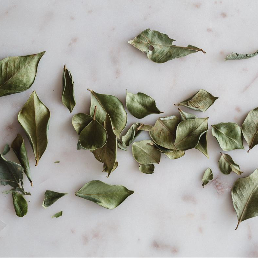 Cinnamon Myrtle Gut Health Guidance Blog